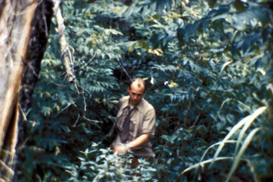 Cecil Dye in the Jungle