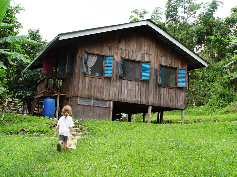 House with Termite Problem in the Philippines