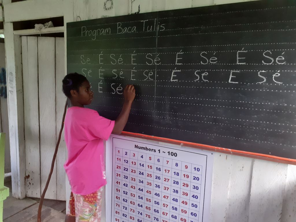 Elseng Literacy Program